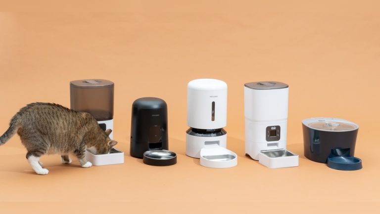 Best Automatic Pet Feeder Cat