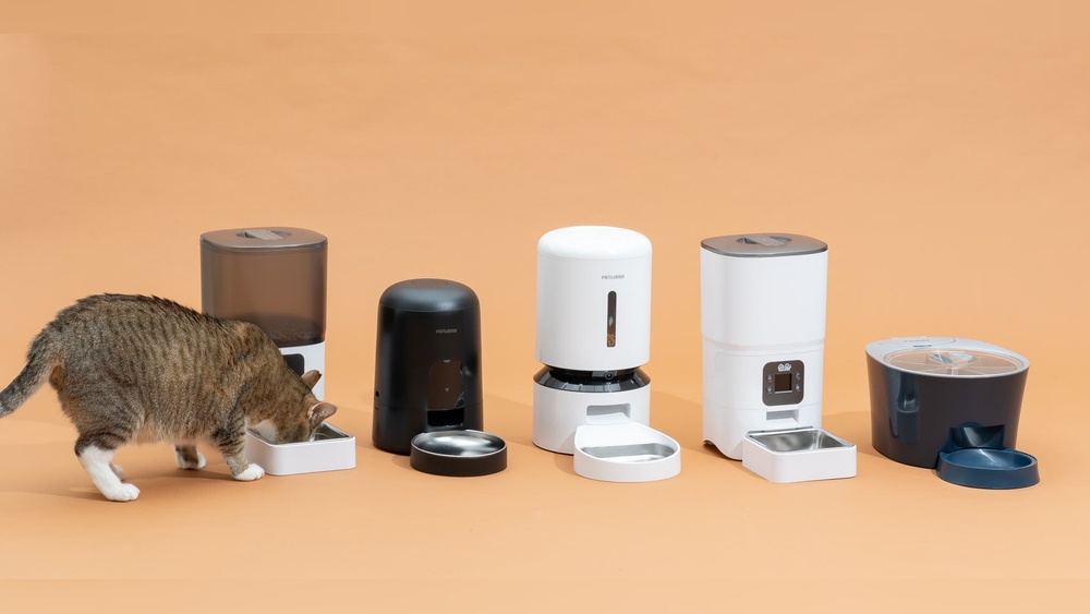 Best Automatic Pet Feeder Cat