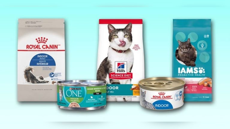 Best Cat Dry Food for Indoor