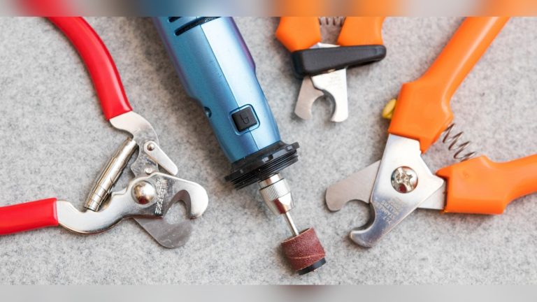 Best Claw Clippers for Dogs