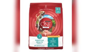 Best Dog Foods for Sensitive Stomach