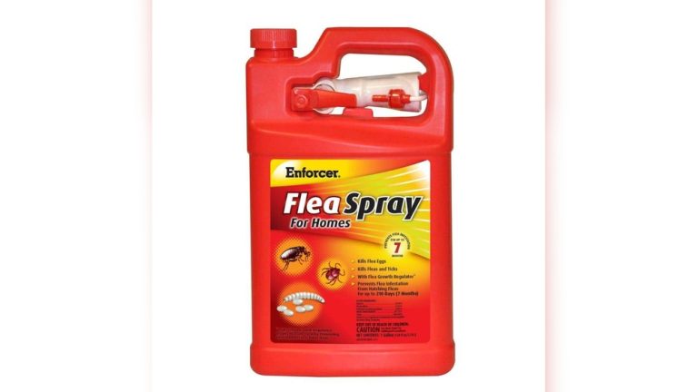 Best Flea Killer for Home