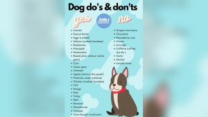 Dog Treats That are Good for Dogs​