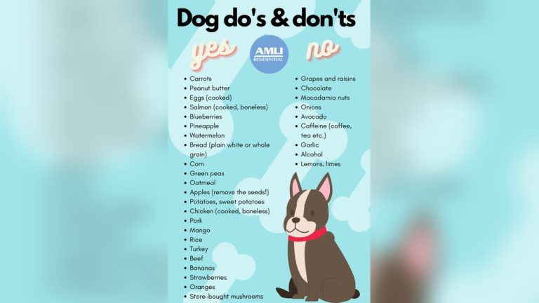 Dog Treats That are Good for Dogs