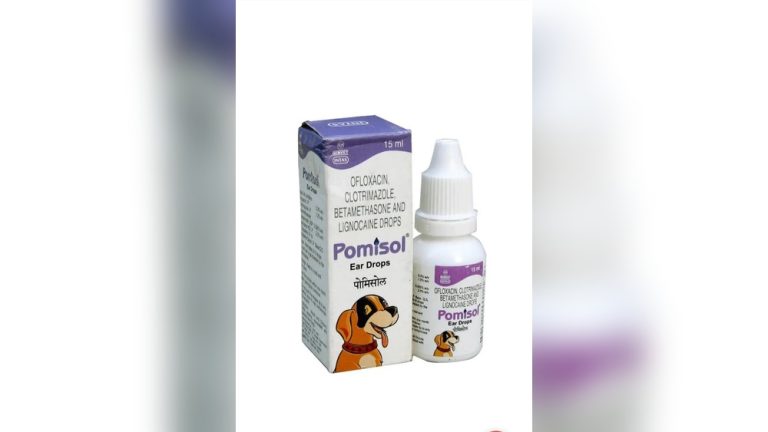 Ear Drops for Dog Ear Infection