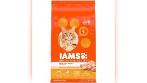 Good Dry Food for Cats