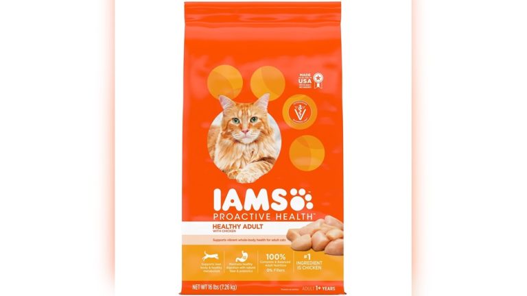 Good Dry Food for Cats