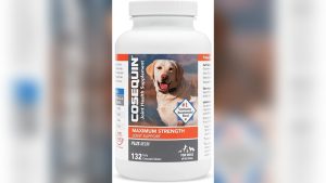 Good Joint Supplements for Dogs