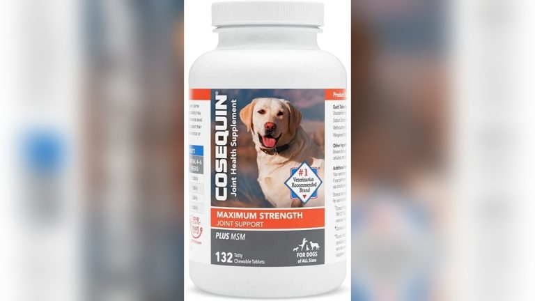 Good Joint Supplements for Dogs