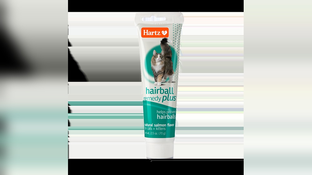 Hairballs Cats Treatment