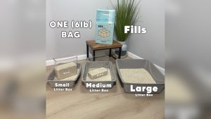 How Much Litter to Put in Litter Box