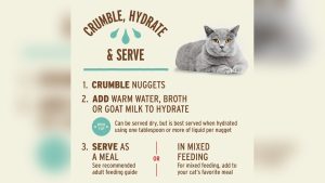 How Much Water to Rehydrate Dried Cat Food