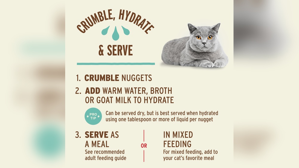 How Much Water to Rehydrate Dried Cat Food