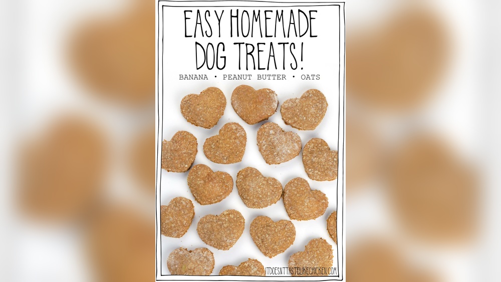 How to Make a Treat for a Dog