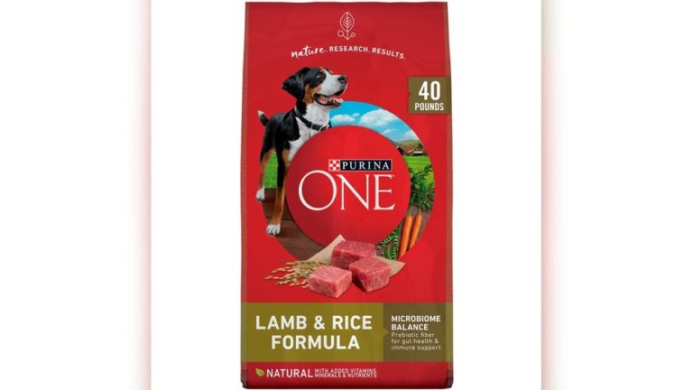 Is Purina One a Good Dog Food