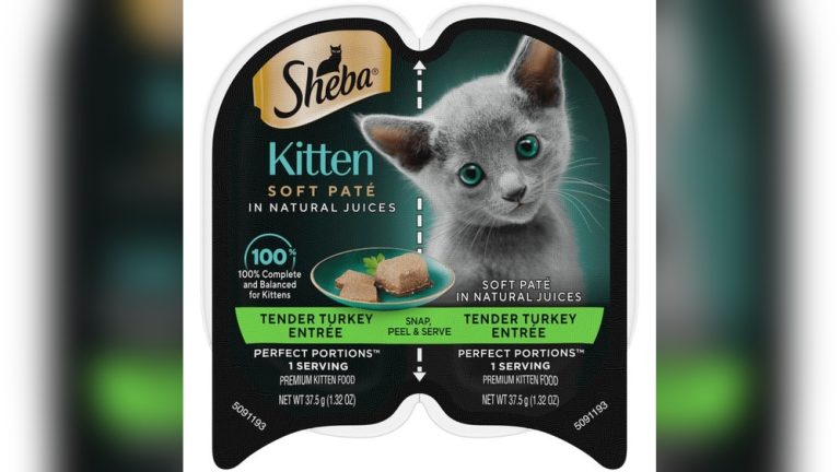 Kitten Food Brands