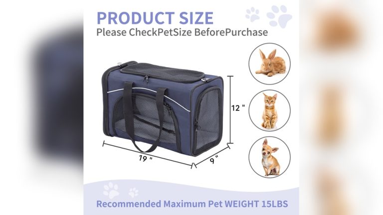 Pet Carrier Approved by Airlines