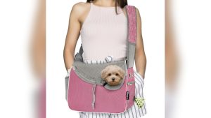 Pet Carrier Purses Small Dogs