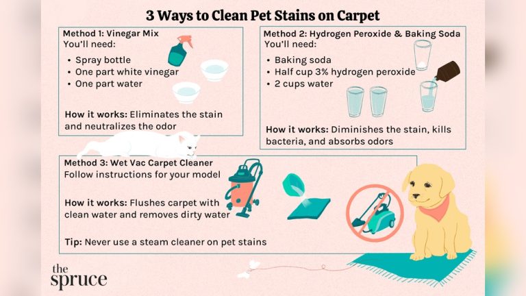 Remove Pet Stains Carpet