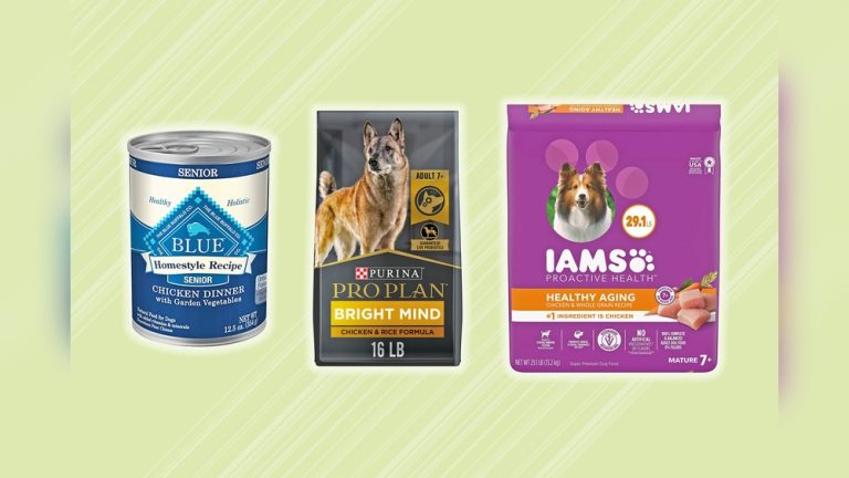 Top Dog Food for Dogs