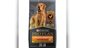 Top Rated Dry Dog Food