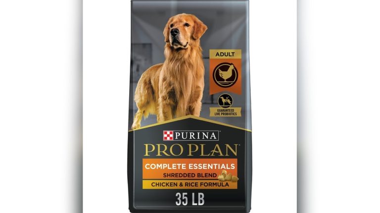 Top Rated Dry Dog Food