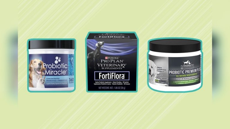 Top Rated Probiotics for Dogs