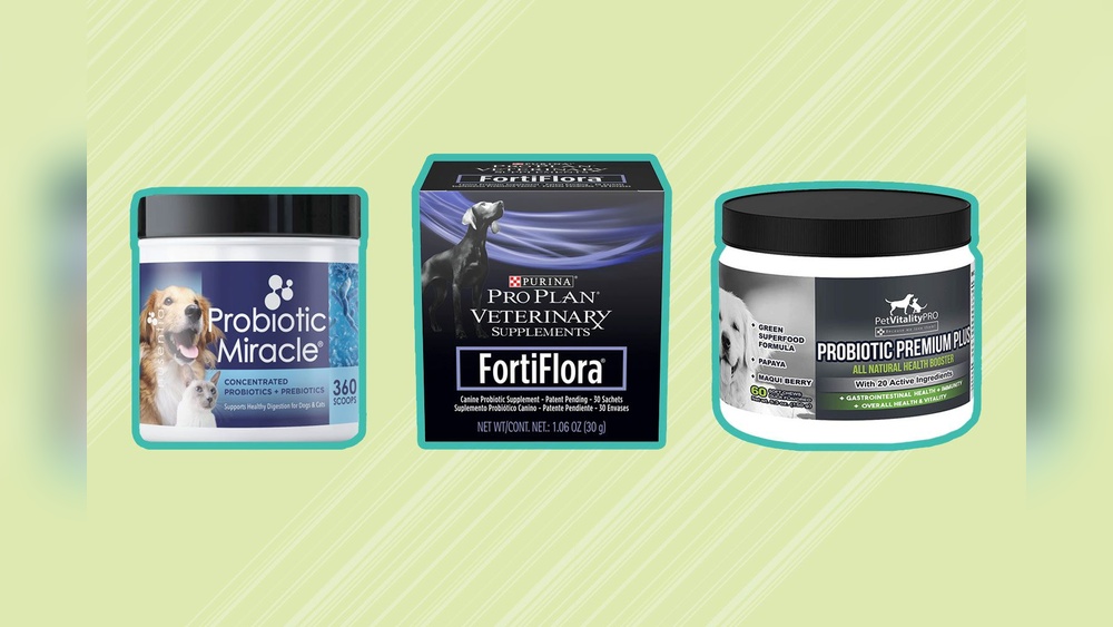 Top Rated Probiotics for Dogs