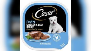 Top Rated Puppy Dry Dog Food