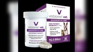Vet Recommended Probiotics for Dogs