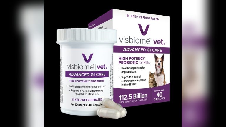 Vet Recommended Probiotics for Dogs