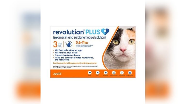 What is the Best Flea Medicine for Cats